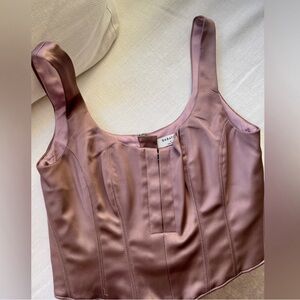 Aritzia Babaton Bustier